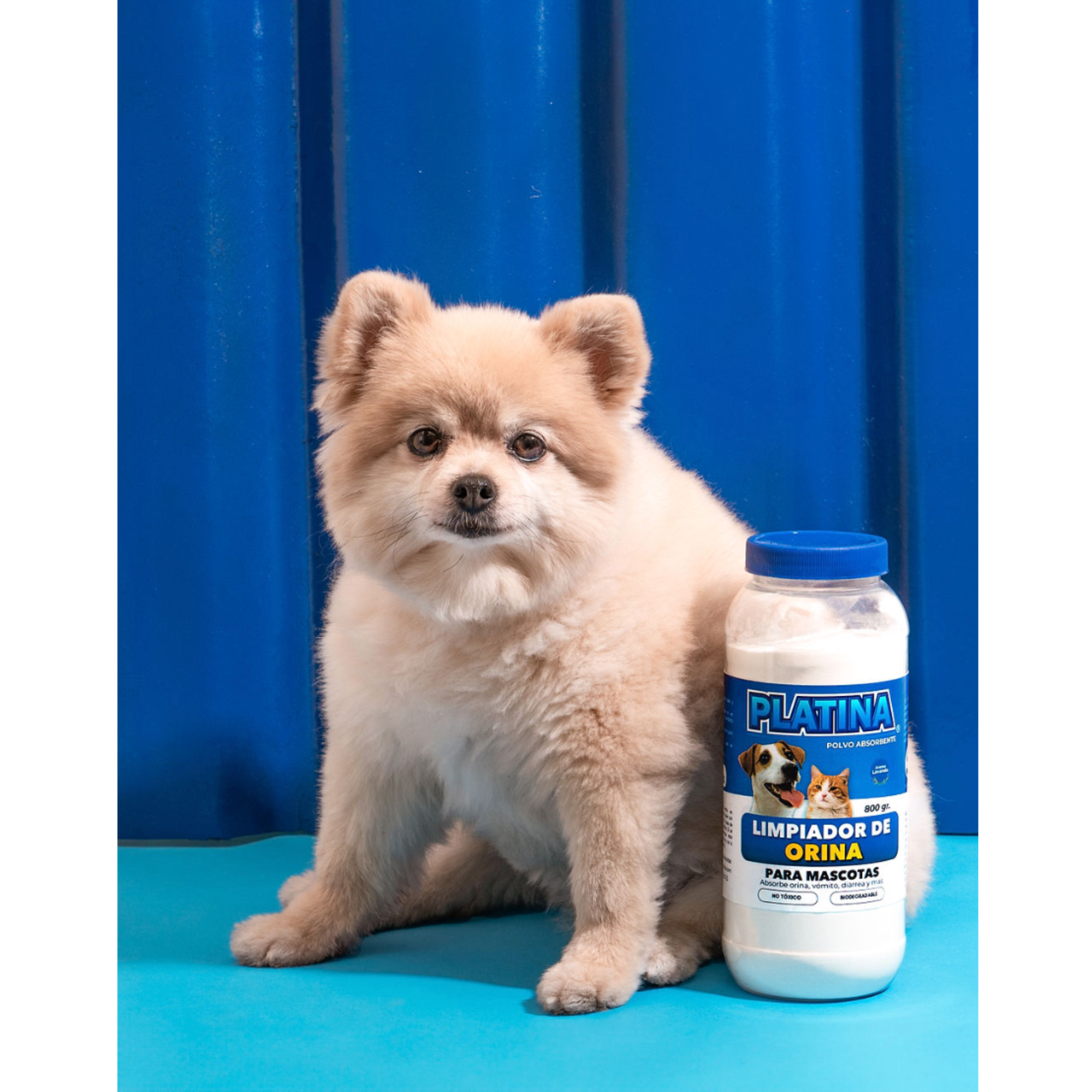 Limpiador de Orina para Mascotas - Polvo Absorbente - 800 gr