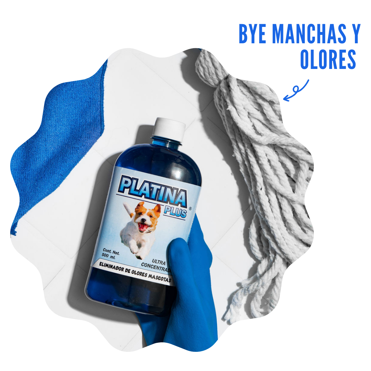 Copia de Blume (3).png