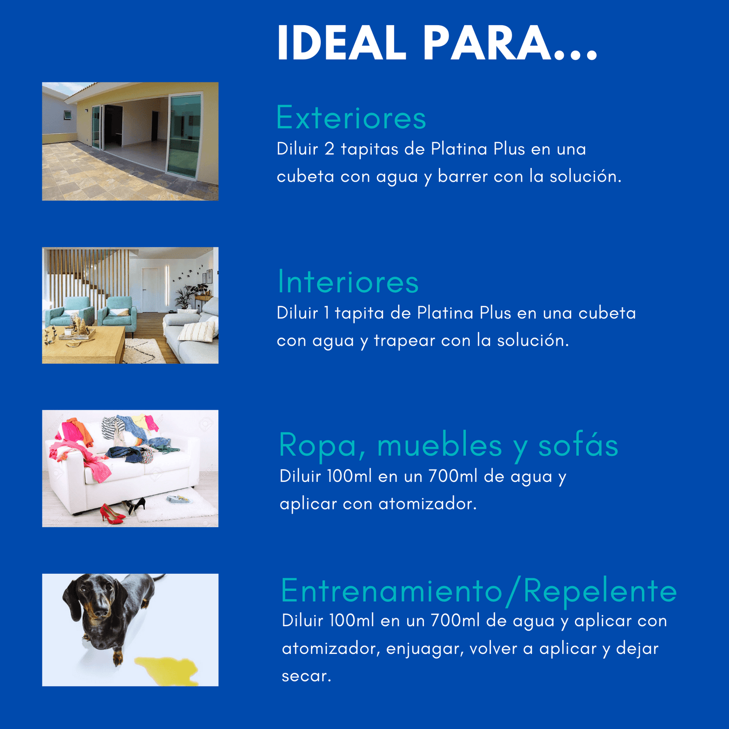 Kit Limpiador + Repelente