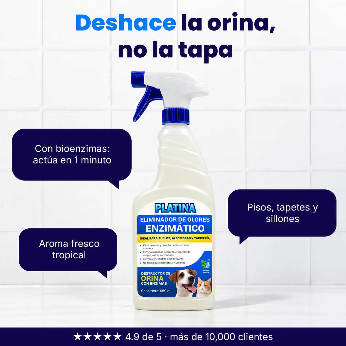 Limpiador Enzimático Eliminador de Olores de Orina en Spray - 650 ml