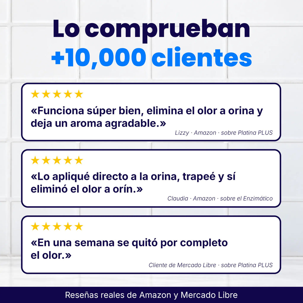 Limpiador Enzimático Eliminador de Olores de Orina en Spray - 650 ml