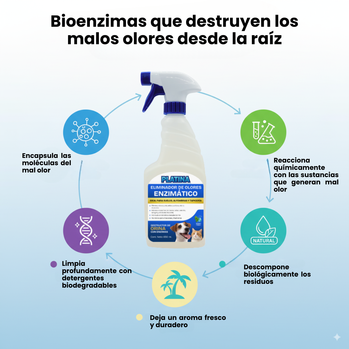 Limpiador enzimático de Orina y Eliminador de Olores en Spray - 650 ml
