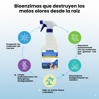 Limpiador enzimático de Orina y Eliminador de Olores en Spray - 650 ml