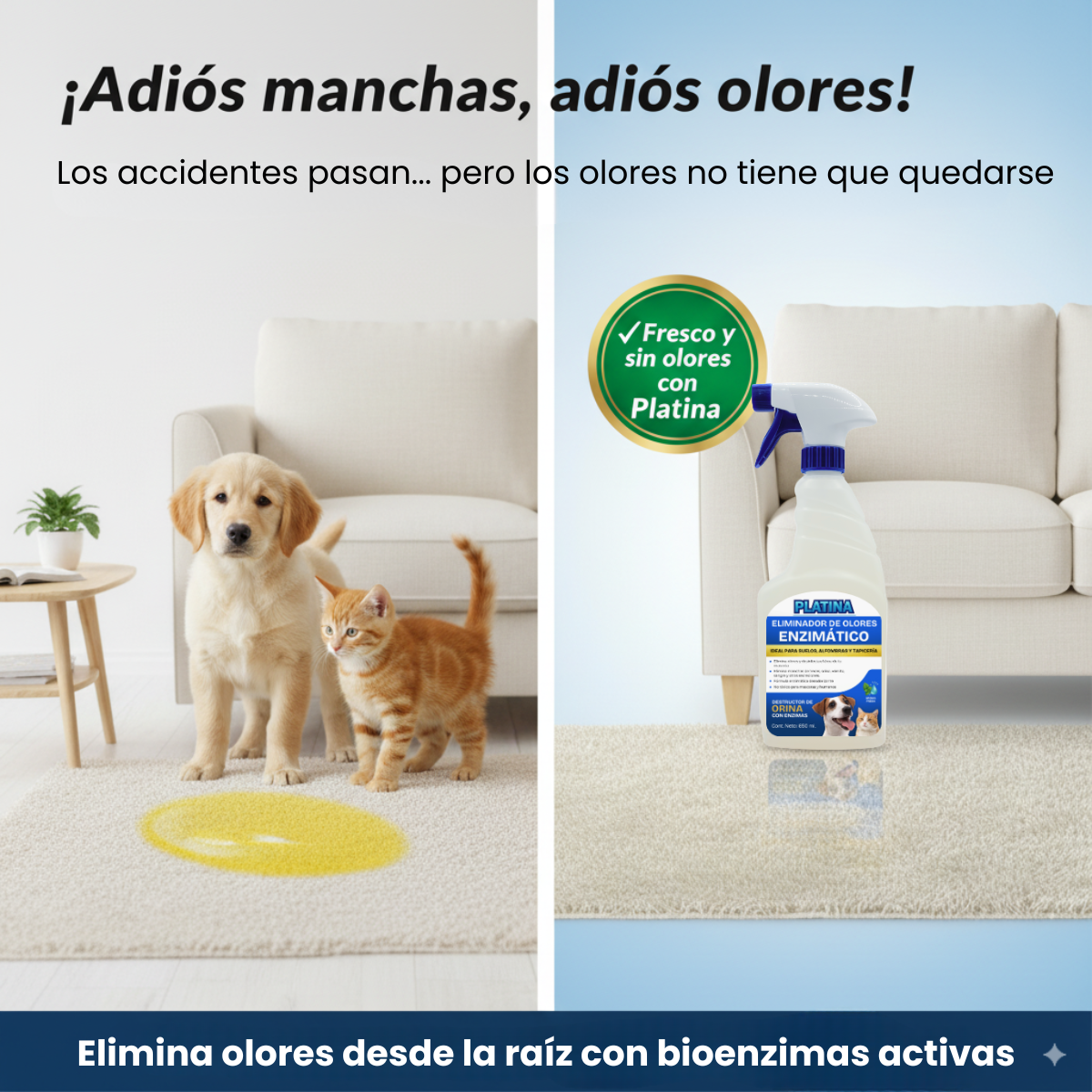 Limpiador enzimático de Orina y Eliminador de Olores en Spray - 650 ml