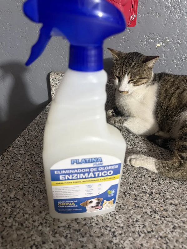 Limpiador Enzimático