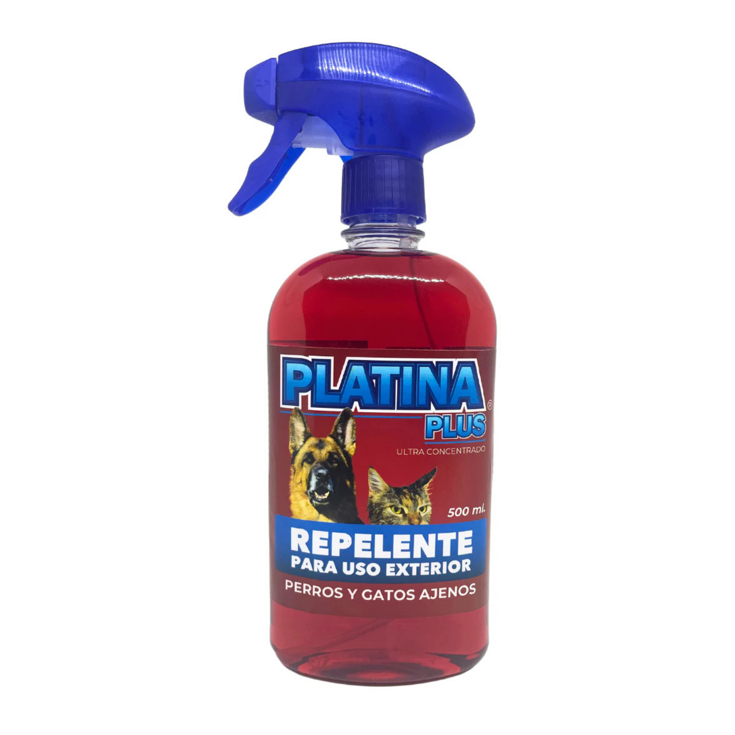 Título (11).png