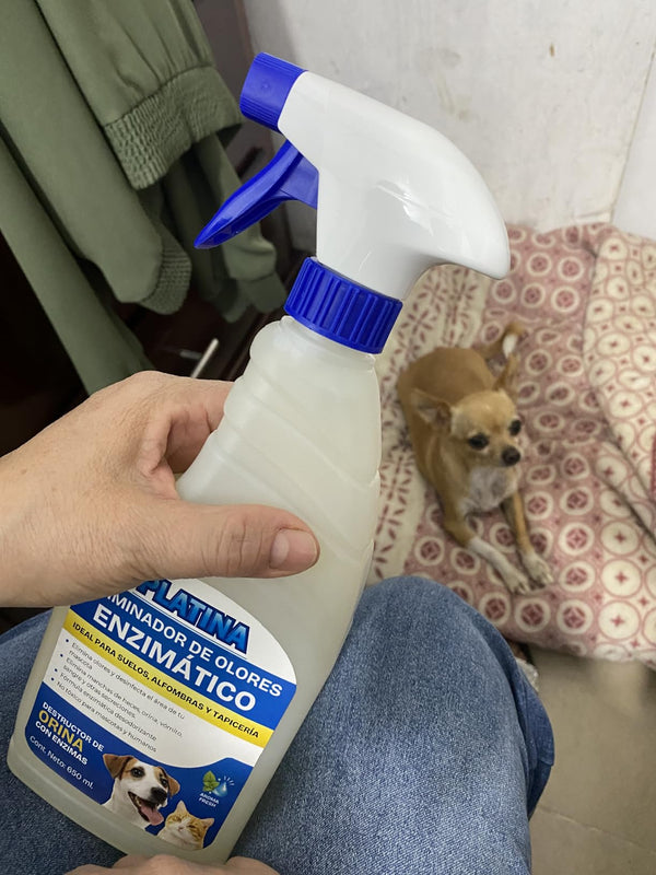 Limpiador Enzimático