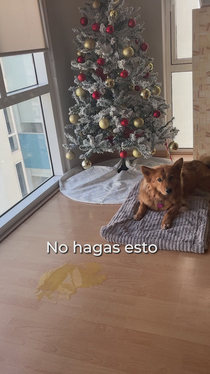 Limpiador de Orina para Mascotas - Polvo Absorbente - 800 gr