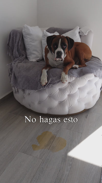 Limpiador enzimático de Orina y Eliminador de Olores en Spray - 650 ml